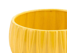 Zuo Acacia Bowl - Yellow