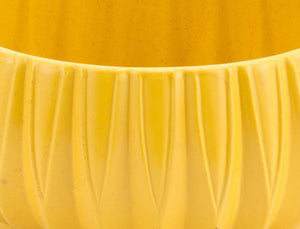 Zuo Acacia Bowl - Yellow